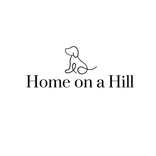 Home on a Hill 